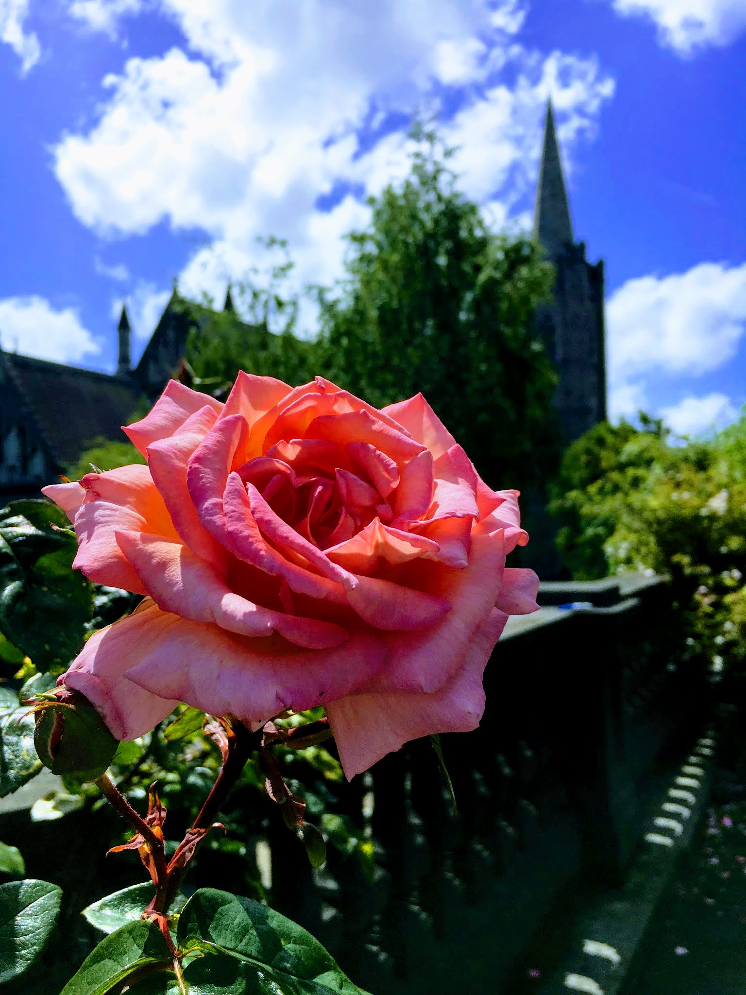 Exterior view of St Patrick’s Cathedral